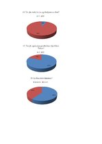Referāts 'Tēja kā sociālās kultūras elements pasaulē un Talsu iedzīvotāju tējas lietošanas', 74.