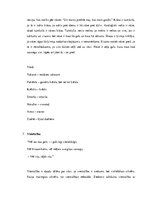 Konspekts 'Raiņa dzejoļu krājuma "Gals un sākums" analīze', 9.