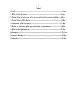 Referāts 'Rokas un lietošanas ķīla', 2.