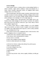 Referāts 'Raganas tēls latviešu folklorā', 4.