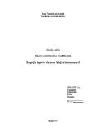 Referāts 'Iespēju izpēte biznesa idejas īstenošanai', 1.