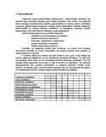 Referāts 'Iespēju izpēte biznesa idejas īstenošanai', 3.