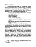 Referāts 'Iespēju izpēte biznesa idejas īstenošanai', 4.