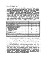 Referāts 'Iespēju izpēte biznesa idejas īstenošanai', 6.