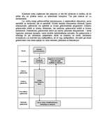 Referāts 'Iespēju izpēte biznesa idejas īstenošanai', 7.