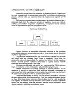 Referāts 'Iespēju izpēte biznesa idejas īstenošanai', 8.