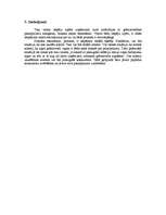 Referāts 'Iespēju izpēte biznesa idejas īstenošanai', 10.