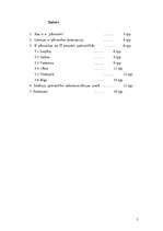 Referāts 'E-pārvalde pašvaldībās', 2.