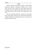 Referāts 'Investīcijas', 3.