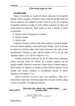 Referāts 'Investīcijas', 12.