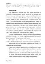 Referāts 'Investīcijas', 13.