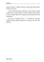 Referāts 'Investīcijas', 26.