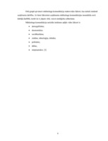 Referāts 'SIA "X" SVID analīze un iespēju izmantošanas ceļi', 9.