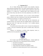 Referāts 'SIA "X" SVID analīze un iespēju izmantošanas ceļi', 10.