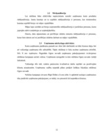 Referāts 'SIA "X" SVID analīze un iespēju izmantošanas ceļi', 12.