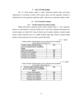 Referāts 'SIA "X" SVID analīze un iespēju izmantošanas ceļi', 13.