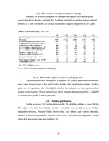 Referāts 'SIA "X" SVID analīze un iespēju izmantošanas ceļi', 14.