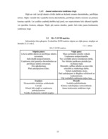 Referāts 'SIA "X" SVID analīze un iespēju izmantošanas ceļi', 15.