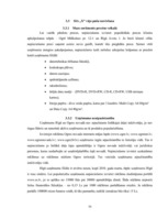 Referāts 'SIA "X" SVID analīze un iespēju izmantošanas ceļi', 16.