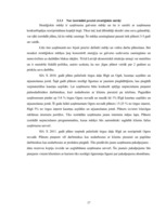 Referāts 'SIA "X" SVID analīze un iespēju izmantošanas ceļi', 17.