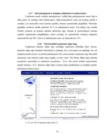 Referāts 'SIA "X" SVID analīze un iespēju izmantošanas ceļi', 19.