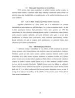 Referāts 'SIA "X" SVID analīze un iespēju izmantošanas ceļi', 20.