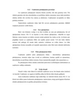 Referāts 'SIA "X" SVID analīze un iespēju izmantošanas ceļi', 21.