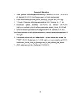 Referāts 'SIA "X" SVID analīze un iespēju izmantošanas ceļi', 27.