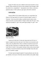 Referāts 'Titāniks', 3.