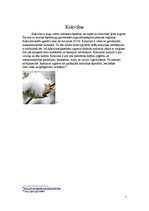 Konspekts 'Šķiedrvielas', 7.