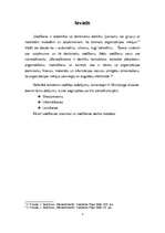 Referāts 'Vadītāju iedalījums, vadīšanas prasmes, vadīšanas darba metodes', 3.