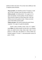 Referāts 'Senās Ēģiptes piramīdas', 6.