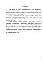 Referāts 'Bībele no senatnes līdz mūsdienām', 6.