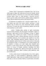 Eseja 'Mainies uz augšu, Latvija', 1.