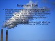 Prezentācija 'Atmosfēru piesārņojošās gāzes', 10.
