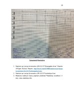 Paraugs 'Kursa darbs "Notekūdens attīrīšana", Lietus notekūdeņu tīkls', 10.