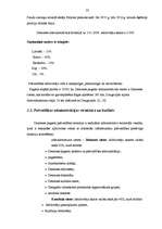 Diplomdarbs 'Demenes kultūras nama attīstības perspektīvas', 22.