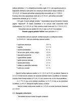 Diplomdarbs 'Demenes kultūras nama attīstības perspektīvas', 25.