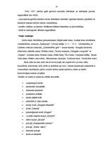 Diplomdarbs 'Demenes kultūras nama attīstības perspektīvas', 28.