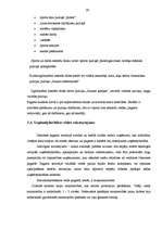 Diplomdarbs 'Demenes kultūras nama attīstības perspektīvas', 29.