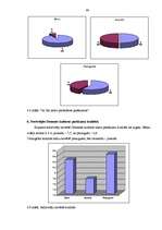 Diplomdarbs 'Demenes kultūras nama attīstības perspektīvas', 46.