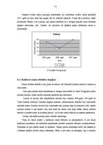 Diplomdarbs 'Demenes kultūras nama attīstības perspektīvas', 53.