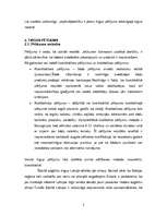 Referāts 'Apģērbu tirgus pētījums', 2.