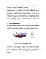 Referāts 'Apģērbu tirgus pētījums', 6.