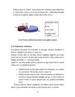 Referāts 'Apģērbu tirgus pētījums', 13.