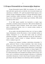 Referāts 'Eiropas Savienības izveides līgumu analīze', 6.