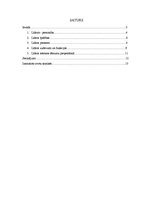 Referāts 'Vadītājs - līderis', 1.