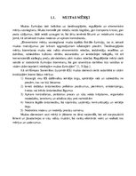 Referāts 'Preču grupas "Sprāgstvielas, pirotehnikas izstrādājumi, sērkociņi, pirofori saka', 2.