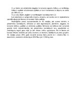 Referāts 'Preču grupas "Sprāgstvielas, pirotehnikas izstrādājumi, sērkociņi, pirofori saka', 4.