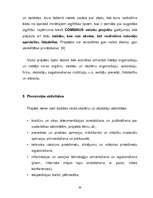 Referāts 'Starptautiskā projekta COMENIUS I nozīmība Ilmāra Gaiša Kokneses vidusskolā', 33.